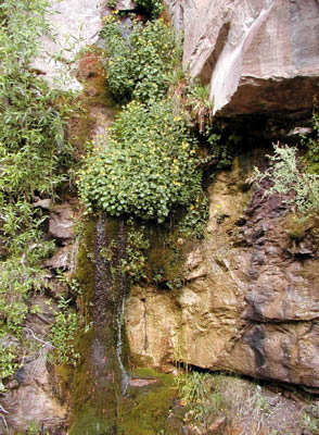 Alpine Mines23