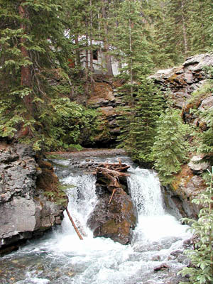 Alpine Mines35