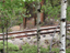 Georgetown Loop32