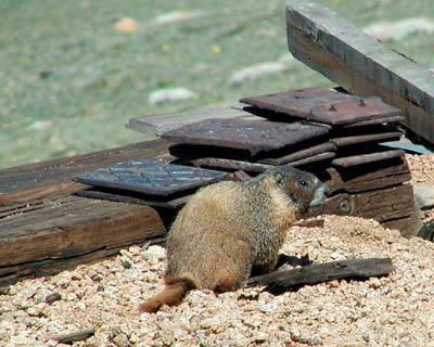 Pike's Peak03