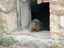 Pike's Peak15