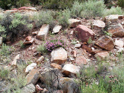 Royal Gorge23