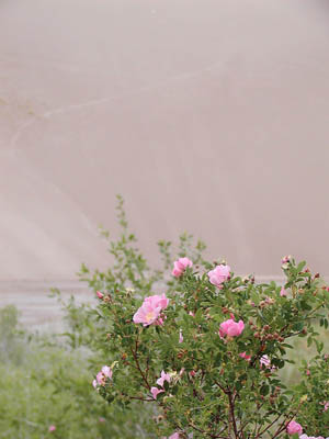 Great Sand Dunes24