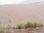 Great Sand Dunes15