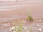 Great Sand Dunes21